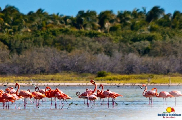 Laguna de Oviedo Pedernales 3